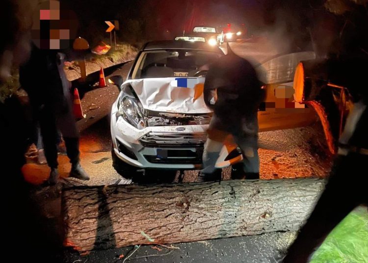 Εθνική οδός Πύργου-Κυπαρισσίας: Δέντρο πλάκωσε αυτοκίνητο εν κινήσει