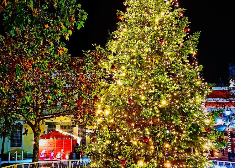 ΠΥΡΓΟΣ: Τελετή φωταγώγησης του χριστουγεννιάτικου δέντρου