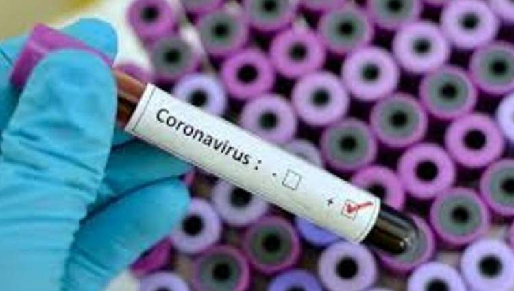 Κορωνοϊός: 4.801 νέα κρούσματα (44 η Ηλεία) – 77 θάνατοι – 683 οι διασωληνωμένοι  (15/12)