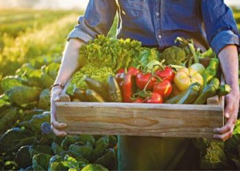 Ασφάλιση αγροτών ΕΦΚΑ το 2022- Τα ποσά για κάθε κατηγορία