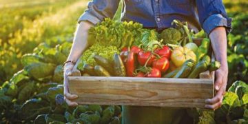 Ασφάλιση αγροτών ΕΦΚΑ το 2022- Τα ποσά για κάθε κατηγορία