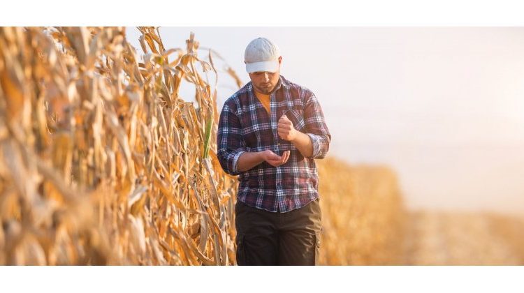 Δεν πήραν Εθνικό Απόθεμα 5.642 παραγωγοί λέει ο ΟΠΕΚΕΠΕ- Ποιες κατηγορίες αφορούν