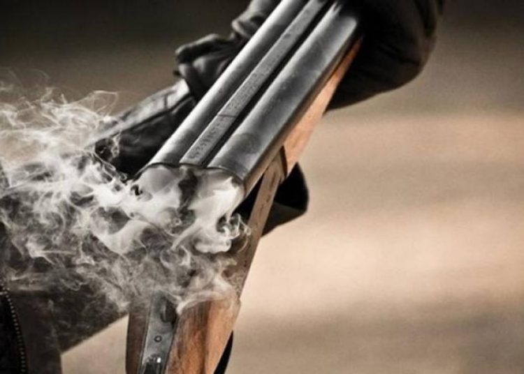 Κρέστενα: Αδέρφια τσακώθηκαν, έβγαλαν καραμπίνες και έπεσαν σφαίρες σε λιοστάσι