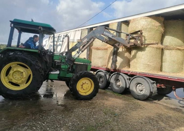 Aποστολή έξι φορτηγών ζωοτροφές από Κοζάνη στους πυρόπληκτους κτηνοτρόφους