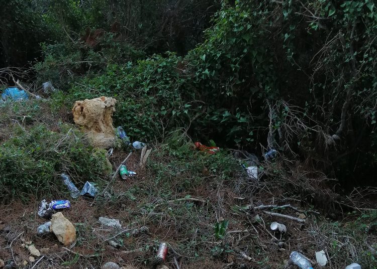 Σκουπίδια στο βουνό του Κατακόλου αμαυρώνουν την εικόνα του επινείου
