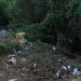Σκουπίδια στο βουνό του Κατακόλου αμαυρώνουν την εικόνα του επινείου