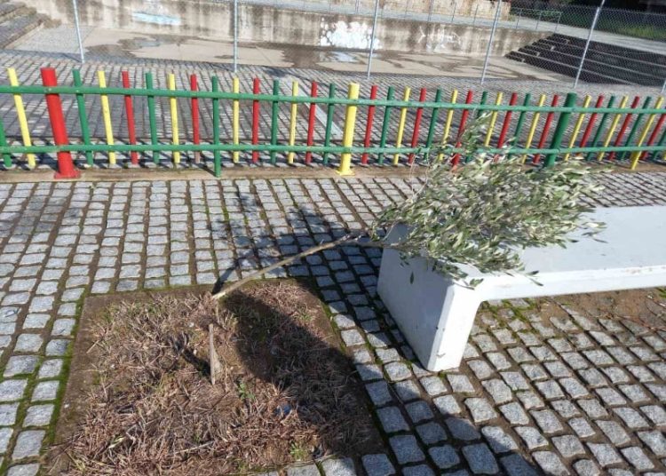 Φθορές στην παιδική χαρά στο Θεματικό Πάρκο Ξυστρή – Θα κατατεθεί μήνυση κατ’ αγνώστων