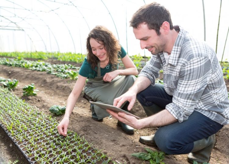 Φτιάχνουν Γεωργικό σχολείο στα Φιλιατρά και στην Ηλεία δεν γίνεται τίποτα