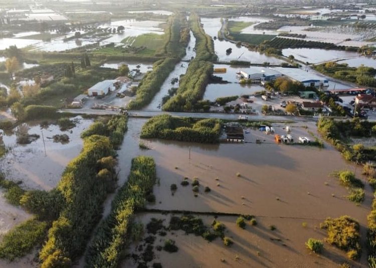 Δήμος Ανδραβίδας-Κυλλήνης: Αιτήσεις δήλωσης ζημιάς σε γεωργικές εκμεταλλεύσεις