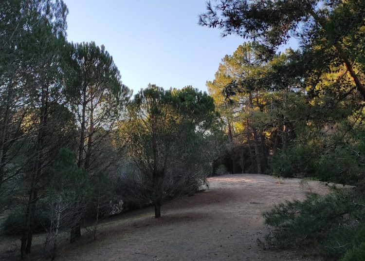 Πρόταση βόλτας: Στο δασάκι της Σπιάτζας