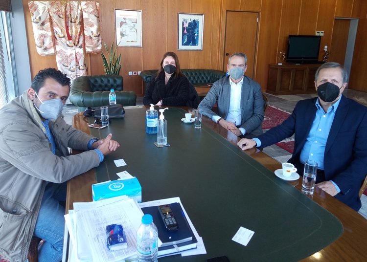 Συνεργασία για την επαναφύτευση ελαιόδεντρων στο Δήμο Αρχαίας Ολυμπίας