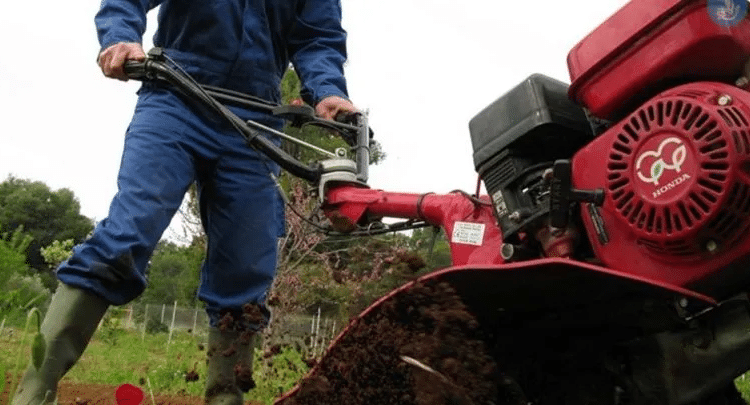 Ζάκυνθος: Ακρωτηριάστηκε δεκάχρονος που τραυματίστηκε από γεωργικό μηχάνημα – Μάχη να κρατηθεί στη ζωή