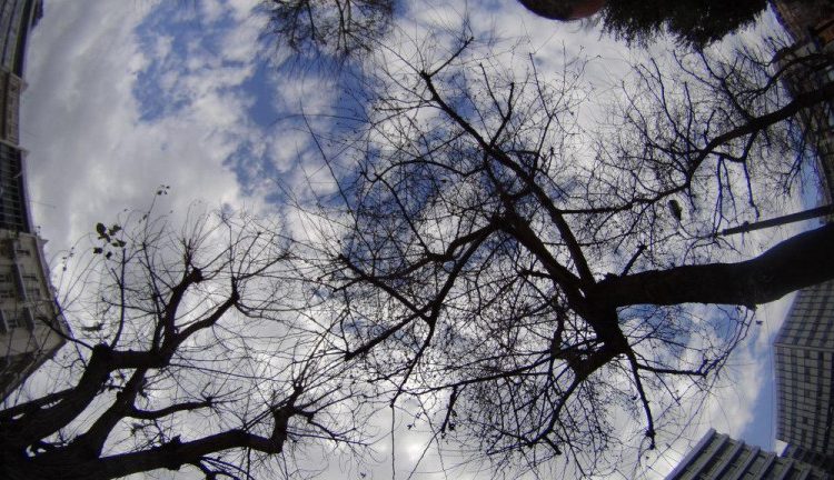 Καιρός: Αίθριος με μικρή αύξηση της θερμοκρασίας