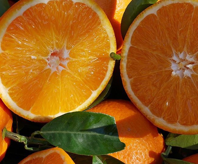 Σε Αιτωλοακαρνανία-Ηλεία στραμμένο το ενδιαφέρον για τα Lane Late μετά τις καταστροφές