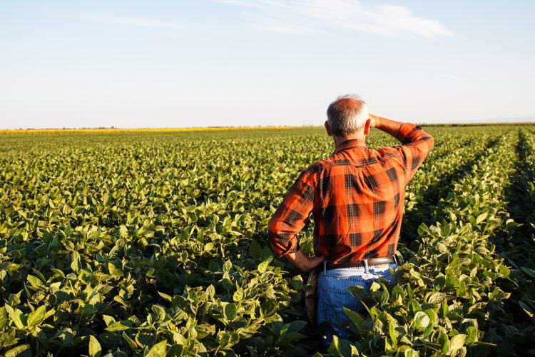 Mέτρα στήριξης για τους αγρότες ανακοίνωσε η κυβέρνηση-Ποια είναι