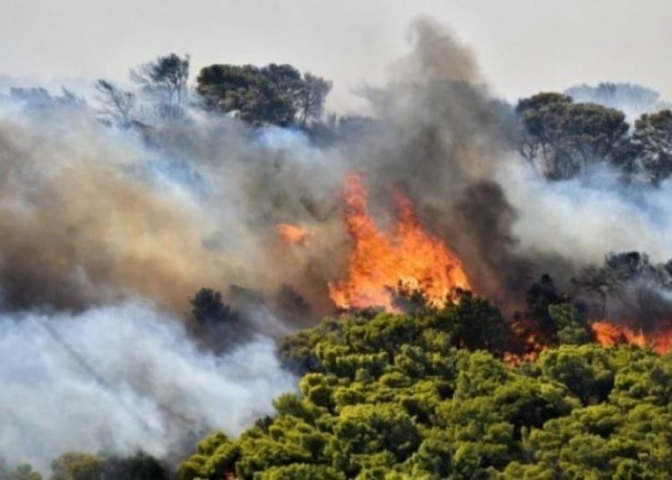 Ηλεία: Συνελήφθη μία ηλικιωμένη για την φωτιά στο Γούμερο