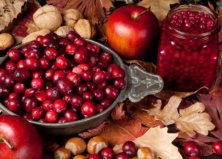 Τα φρούτα που ξανανιώνουν τις αρτηρίες και την καρδιά – 100 γρ. την ημέρα αρκούν