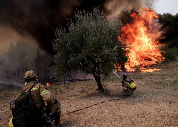 Ηλεία: 6 μήνες μετά τις φωτιές και δεν έχουν δοθεί οι αποζημιώσεις
