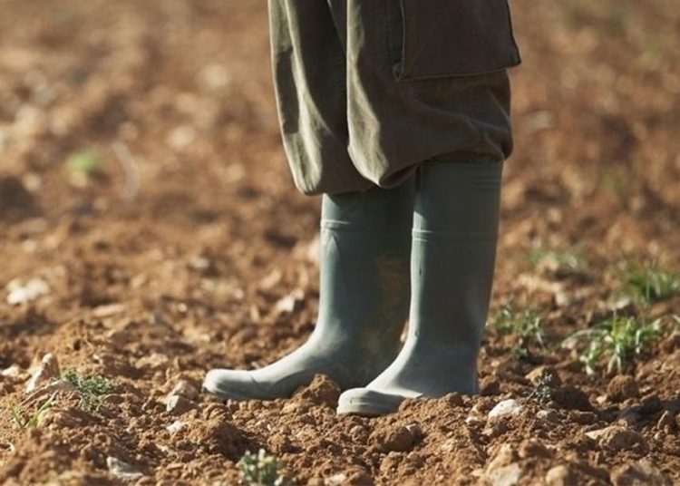 Δυνατότητα ασφάλισης για αγρότες με οφειλές ΕΦΚΑ