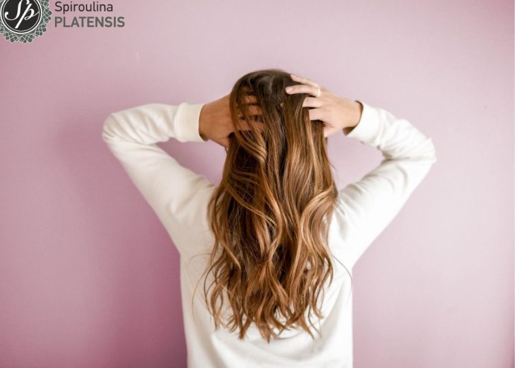 Αντιμετώπισε την τριχόπτωση με Spiroulina PLATENSIS!
