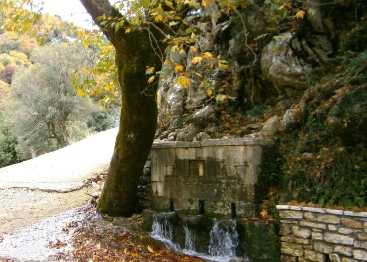 Δίβρη: Το ελατοσκέπαστο χωριό με τις 7 γειτονιές