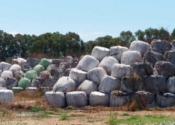 Απόφαση για Ποτόκι: Νόμιμα η δαπάνη εργασιών 10.000 ευρώ λέει το Ελεγκτικό Συνέδριο