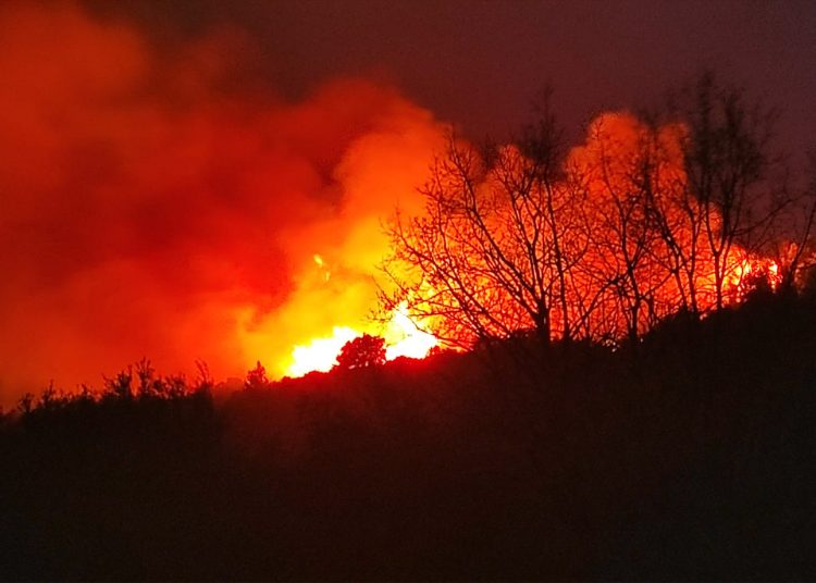 Φωτιά στα ορεινά Ηλείας-Δύσκολο βράδυ για Λιβαδάκι Καλλιθέας