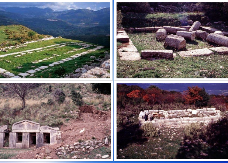 Αρχαία Αλιφείρα: Σπάνια ομορφιά και μεγάλη ιστορία