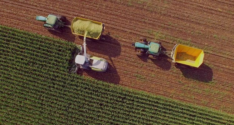 Αναστέλλεται και φέτος το τέλος επιτηδεύματος για τους αγρότες