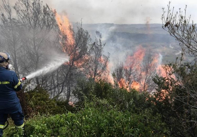 Λιβαδάκι: Τεράστια καταστροφή από τη φωτιά-Σε ύφεση το μέτωπο