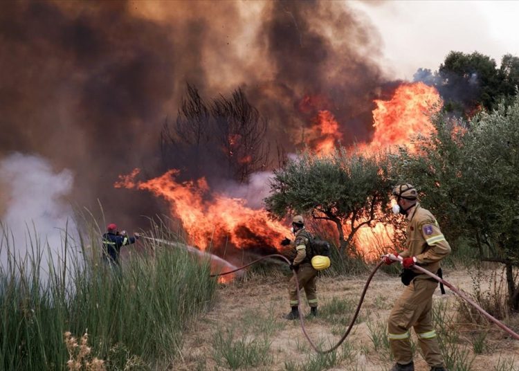 Πυρόπληκτοι Ηλείας: Εμπαιγμός με τις αποζημιώσεις-Η κυβέρνηση ζητά νέα δικαιολογητικά και καθυστερεί η διαδικασία