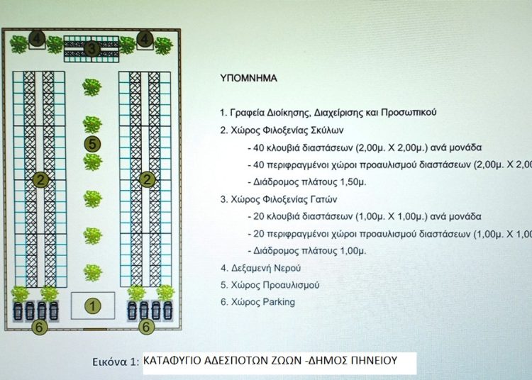Δήμος Πηνειού: Δημιουργία Καταφυγίου Αδέσποτων Ζώων