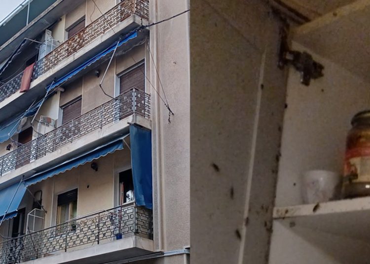 Άγιος Παντελεήμονας: Οκτώ χρόνια φυλακή για τη «μητέρα» – Έλεγε στα ανήλικα παιδιά της ότι οι κατσαρίδες ήταν… πεταλούδες!