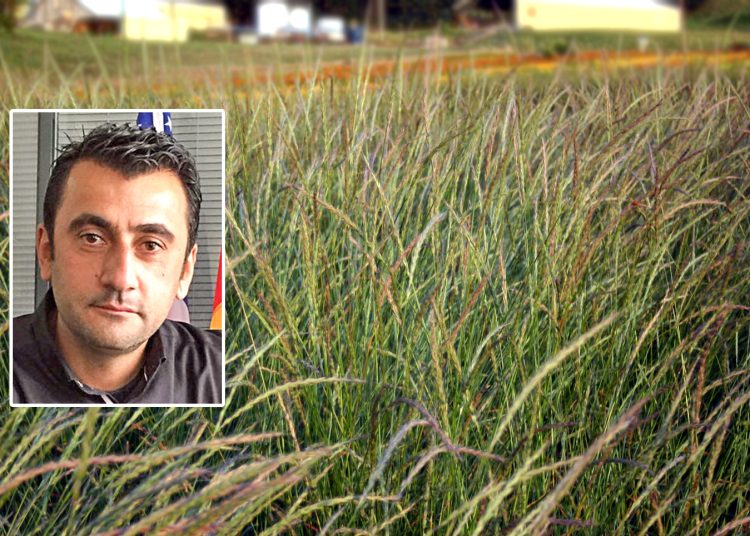 «Βόμβα» για τον Δήμο Αρχαίας Ολυμπίας τα ακαθάριστα οικόπεδα-Πρόστιμα στους ιδιοκτήτες