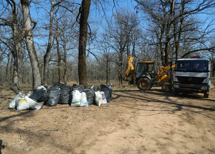Μάζεψαν δέκα τόνους σκουπιδιών στο δρυοδάσος Φολόης