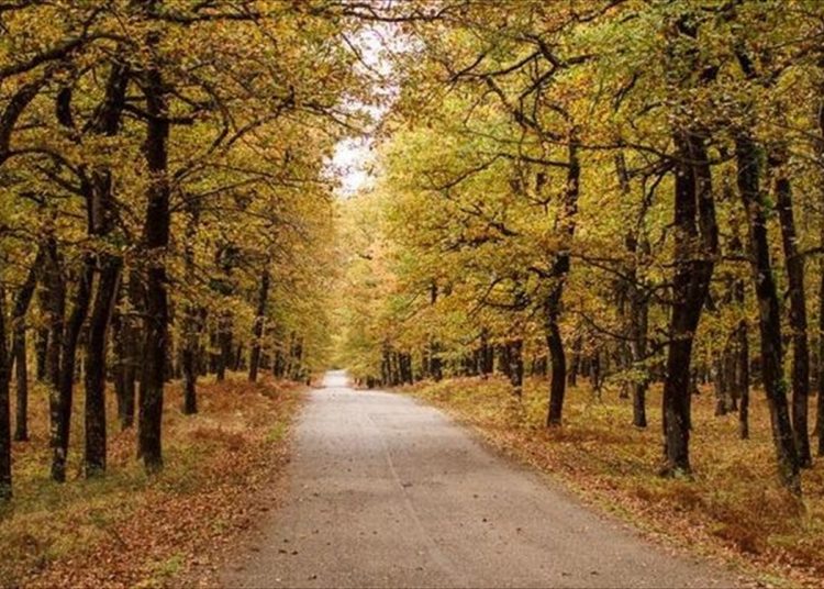 Ιστορία από τα παλιά: Το φάντασμα-στοιχειό της Κάπελης