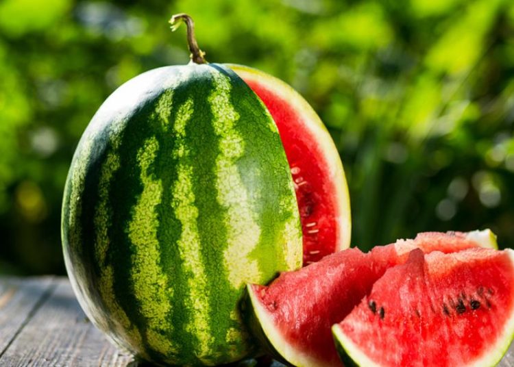 Καρπούζι: 45 με 50 λεπτά η πρώτη τιμή στην αγορά