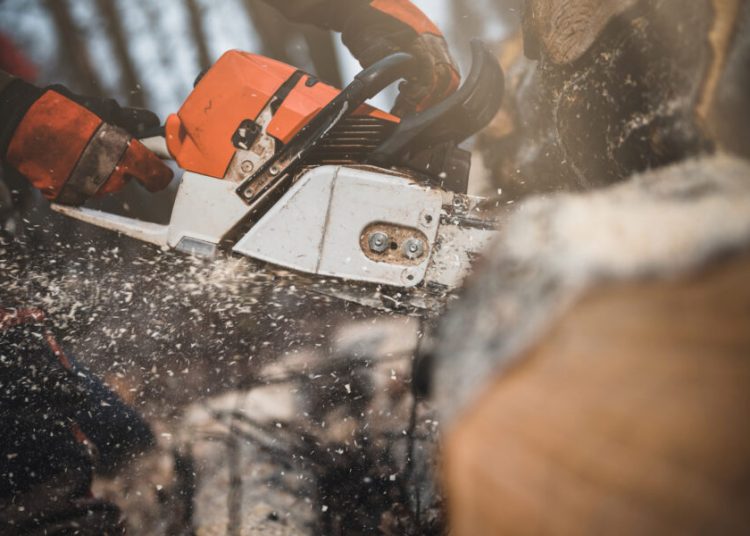 Έκλεψαν αλυσοπρίονα από το Δασαρχείο Αμαλιάδας