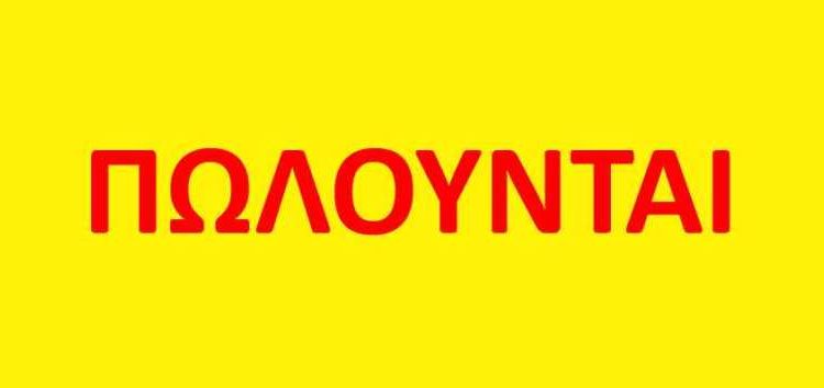 Πωλούνται τράγος και προβατίνες