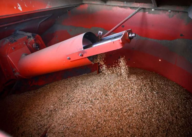 Ινδία: Η κυβέρνηση απαγόρευσε τις εξαγωγές σιτηρών