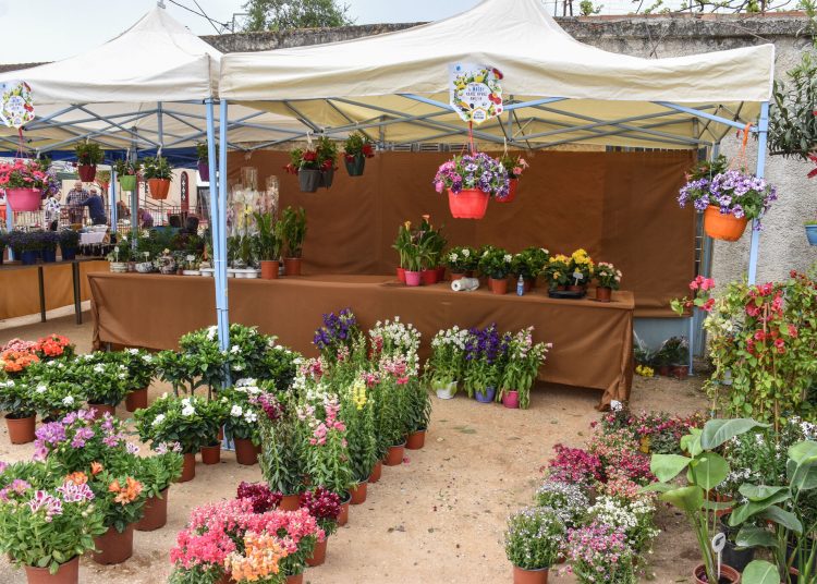 Μια ξεχωριστή Πρωτομαγιά στη Μέλισσα