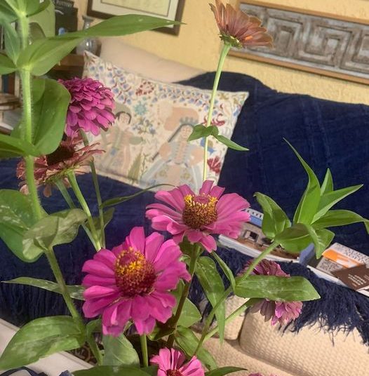 Αγάπησα την μικρή μου πόλη και ζω σε μια εποχή της απόλυτης παρακμής της