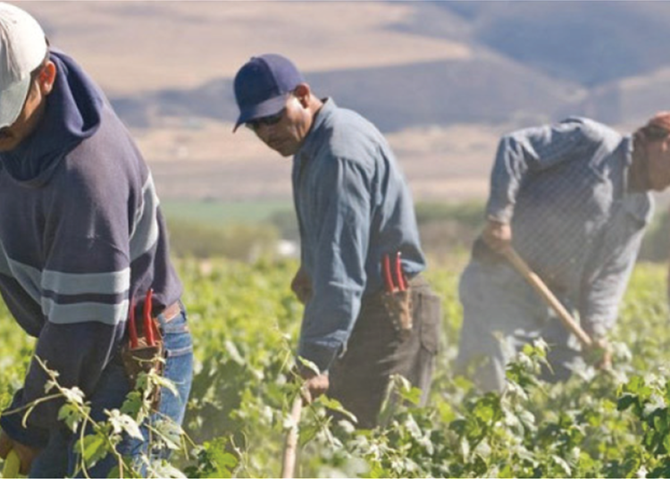 Δύσκολο να λυθεί φέτος το πρόβλημα με εργάτες γης, πρέπει να γίνουν χώροι διαμονής