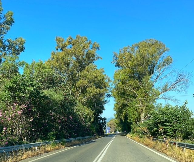 Ο δρόμος “Πύργος- Καλό Νερό- Τσακώνα” σε ευρεία σύσκεψη στις 4/7 υπό τον πρωθυπουργό Κ. Μητσοτάκη στο Μέγαρο Μαξίμου