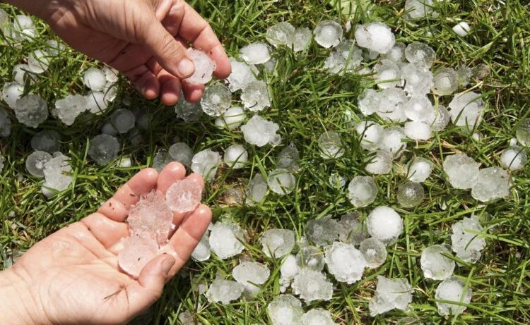 Γεράκι: Καταστράφηκαν καλλιέργειες από χαλάζι σε μέγεθος καρυδιού