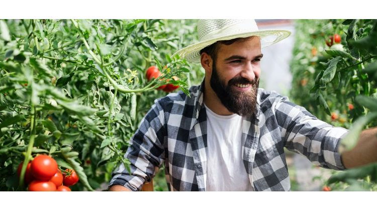 Aγροτικά: Άνοιξε η πλατφόρμα για μεταβίβαση Δικαιωμάτων Βασικής Ενίσχυσης 2022