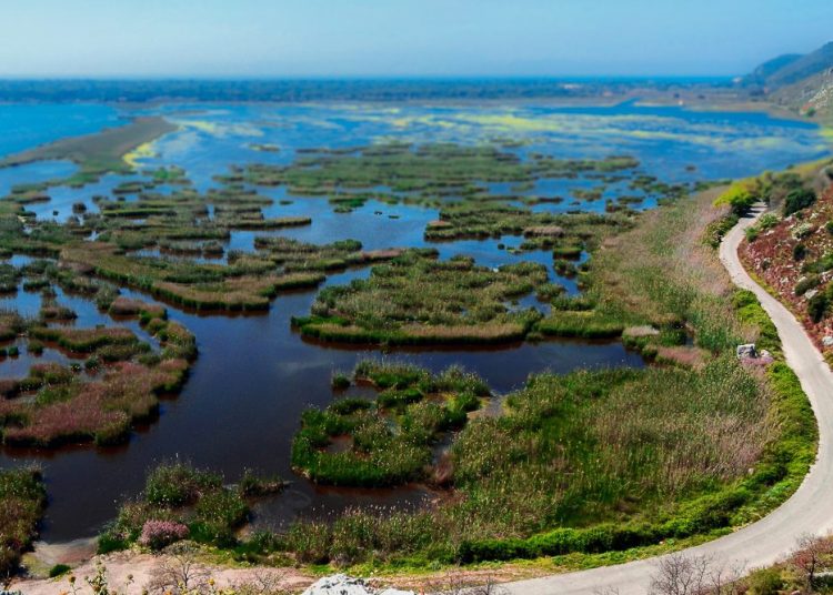 Γιατί και από τι απειλείται η λιμνοθάλασσα Κοτυχίου