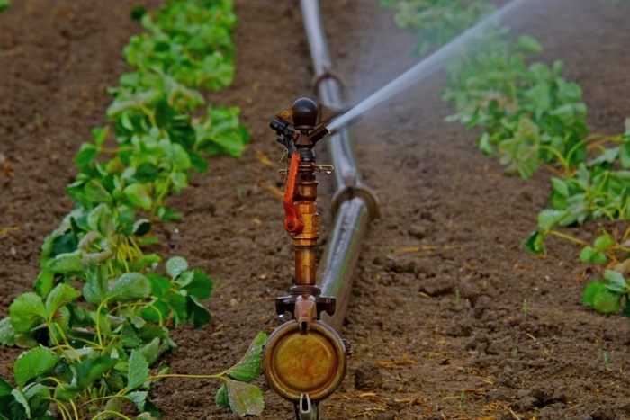 TOEB Γαστούνης: Δημοπρατείται μέσα στο έτος η υπογειοποίηση του δικτύου