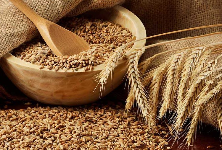 Σιτάρι: Γιατί θα παραμείνει στα ύψη η τιμή του ανεξάρτητα από τον πόλεμο