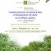 Στρέφι: Η Καλλιέργεια της ελιάς σε συνθήκες κρίσης-Συζήτηση από το Ίδρυμα Κωνσταντακόπουλου